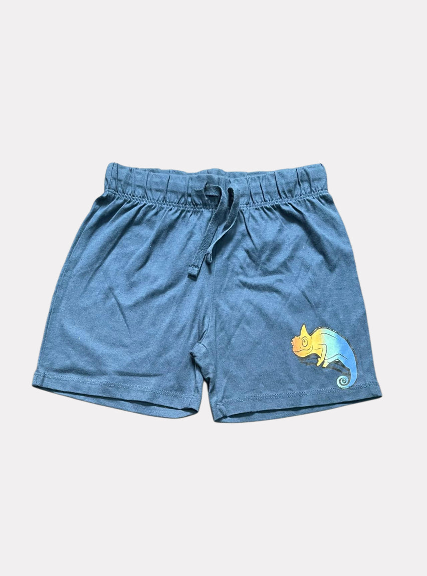 Kids Casual Shorts (2 - 3 Years) - Blue Rainbow Chameleon