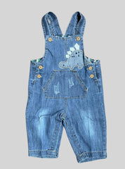 Kids Dungaree - Dino