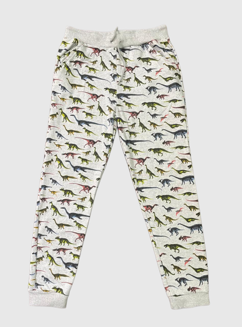 Kids Loopknit Pant -Grey Colour Dinosaur