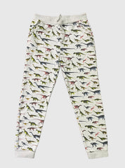 Kids Loopknit Pant -Grey Colour Dinosaur